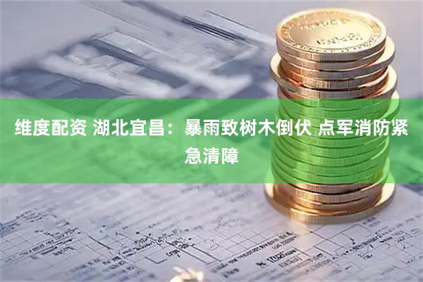 维度配资 湖北宜昌：暴雨致树木倒伏 点军消防紧急清障