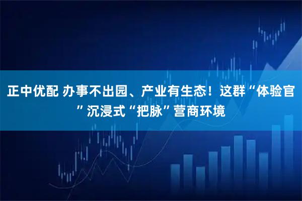 正中优配 办事不出园、产业有生态！这群“体验官”沉浸式“把脉”营商环境