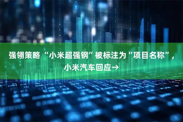 强翎策略 “小米超强钢”被标注为“项目名称”，小米汽车回应→