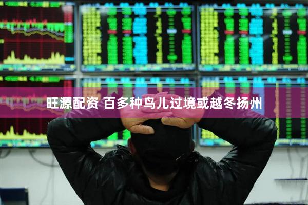 旺源配资 百多种鸟儿过境或越冬扬州