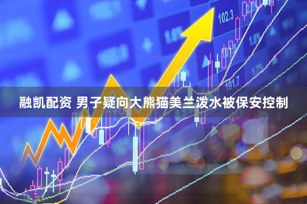 融凯配资 男子疑向大熊猫美兰泼水被保安控制